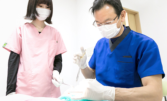 親知らず抜歯は、口腔外科専門医が担当！